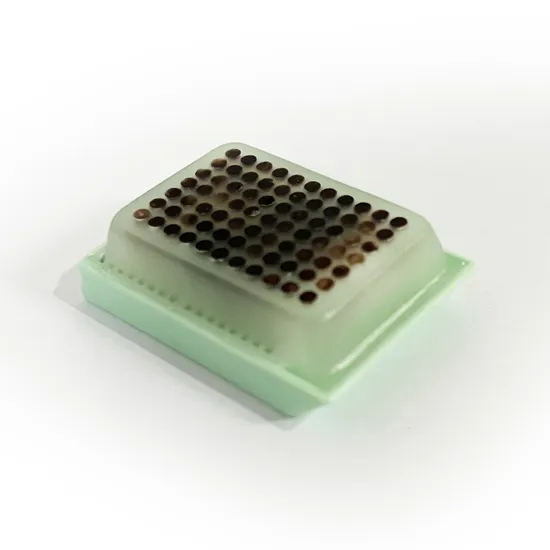 과학 연구 재료 시험에 사용되는 조직 의료 용품 조직 마이크로 어레이 블록