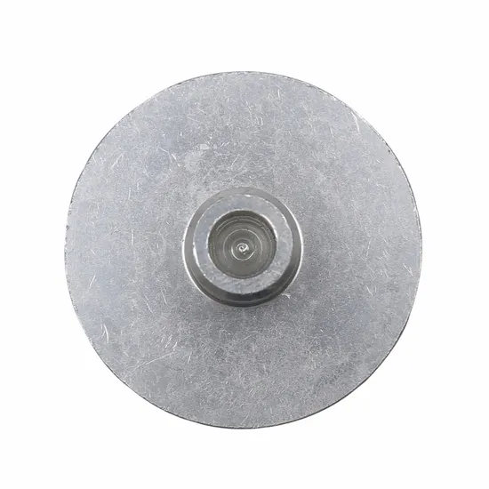 저온 유지 장치 표본 디스크