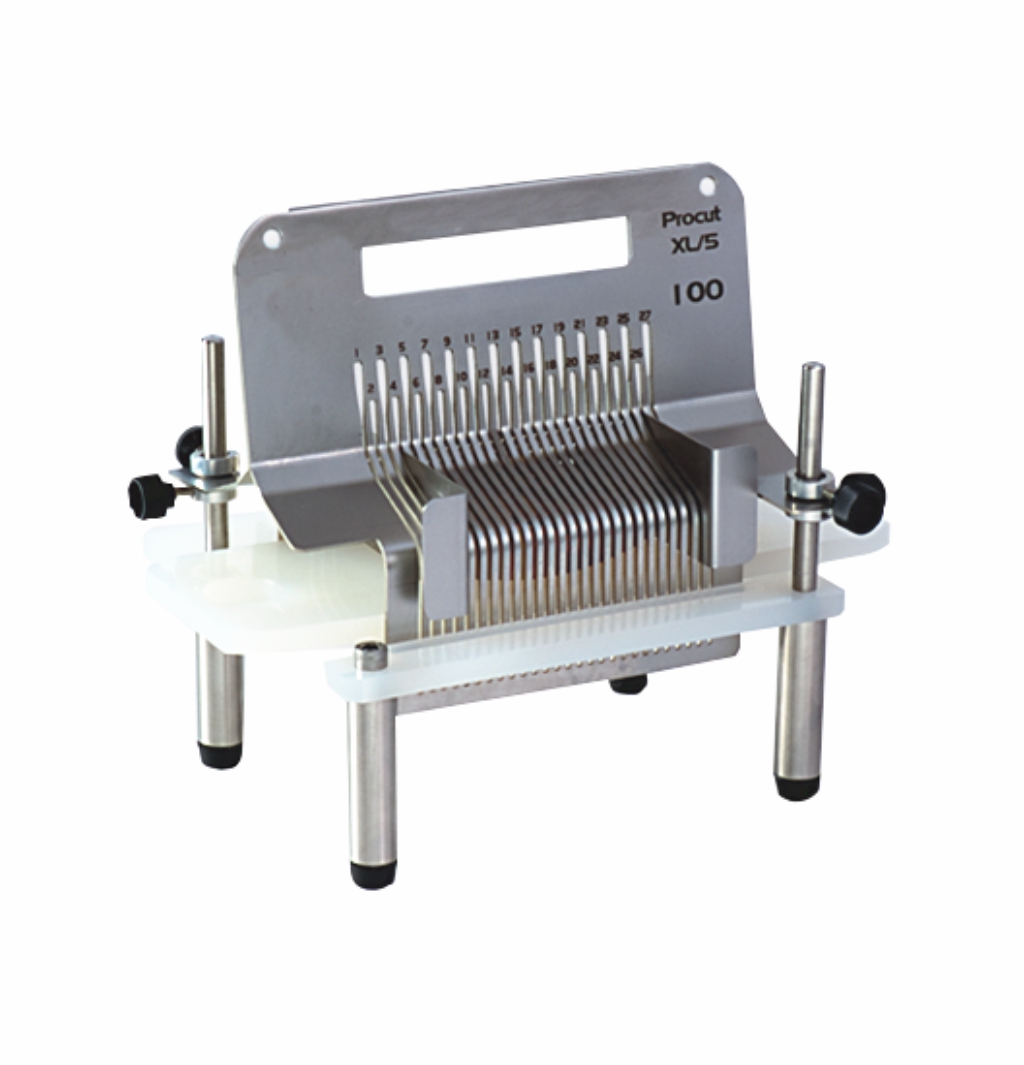 대형 조직 생검 겸자